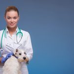 Cute little dog visits vet